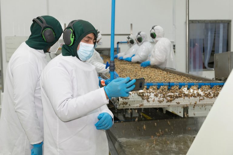 Alcalde de Dalcahue visita planta procesadora de Landes Mussels