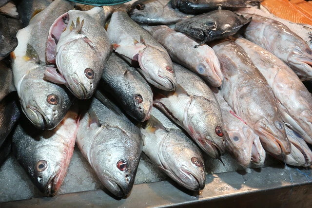 • Landes demanda al Estado por cambios en Ley de Pesca