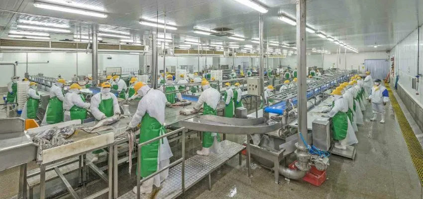 El proyecto de ley de Fraccionamiento fue analizado por la Comisión Mixta, que resolvió aprobar una distribución de cuotas. En el caso de la merluza común, se asignó un 52% a la pesca artesanal y un 48% a la pesca industrial.
