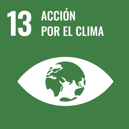 S web goal 13