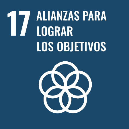 S web goal 17