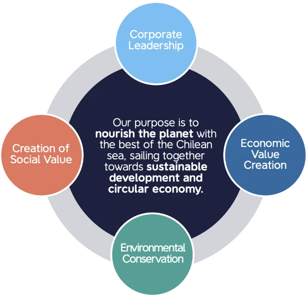 Estrategia de sostenibilidad eng