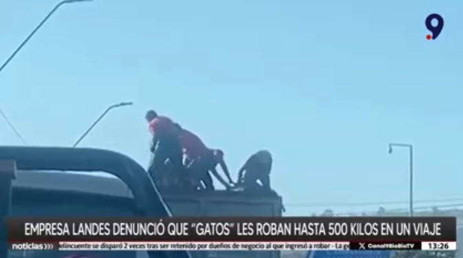 Gatos