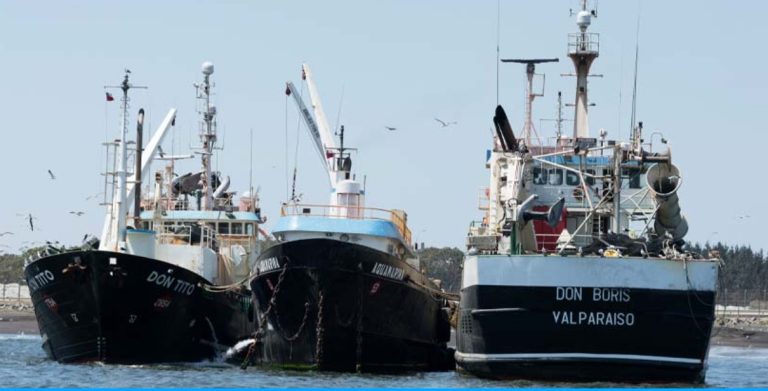 Fraccionamiento pesquero: Empresas de Talcahuano anuncian cierre de operaciones y recurso contra el Estado