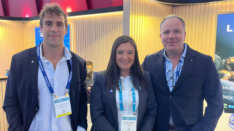 Diseño sin título 2026 03 31T091705.465