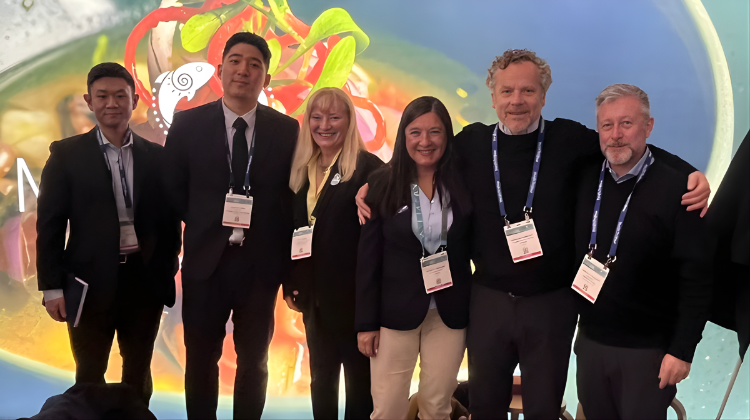 Diseño sin título 2026 03 31T091857.378