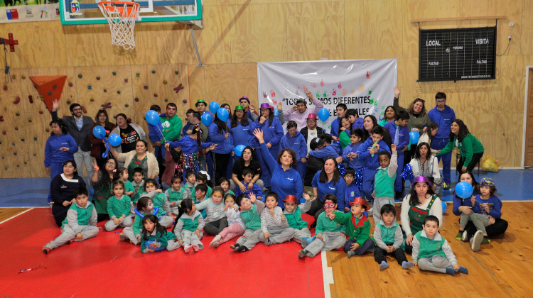 Jornada Inclusión en Dalcahue