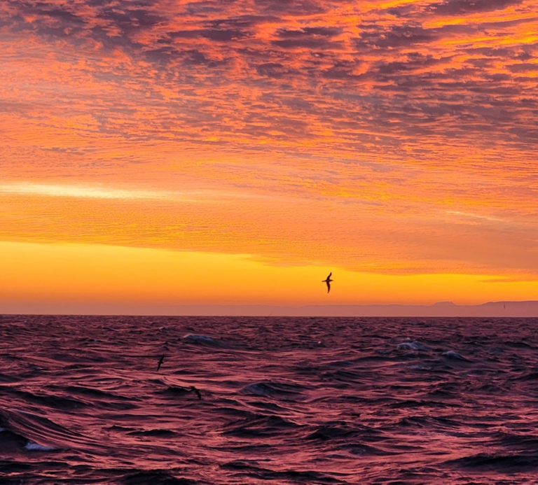 Fotografía Atardecer en alta mar, Sello Resiliencia, Sergio Figueroa, Flota Talcahuano