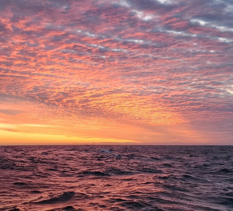 Fotografía Atardecer en zona de pesca, Sello Integridad, Sergio Figueroa, Flota Talcahuano