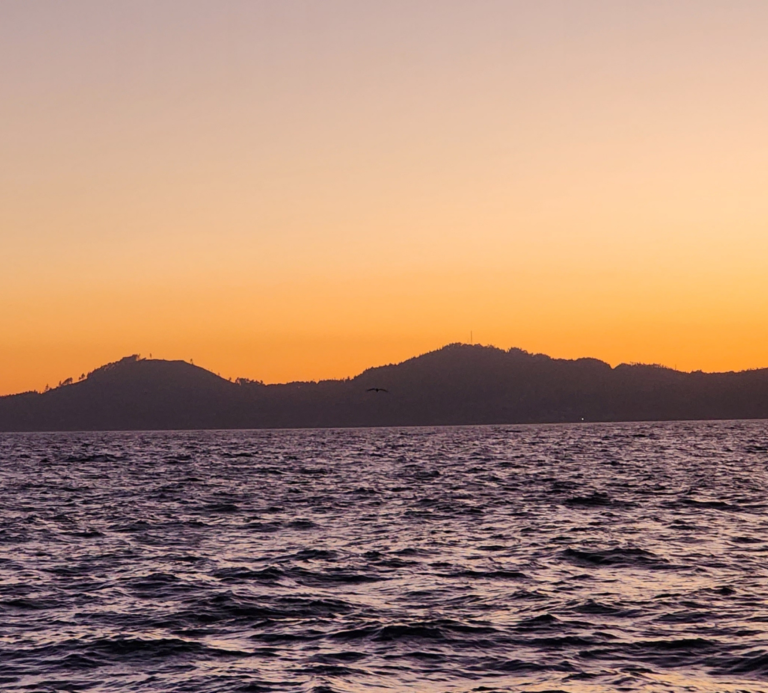 Fotografía Desembocadura del Biobío desde alta mar, Sello Excelencia, Sergio Figueroa, Flota Talcahuano
