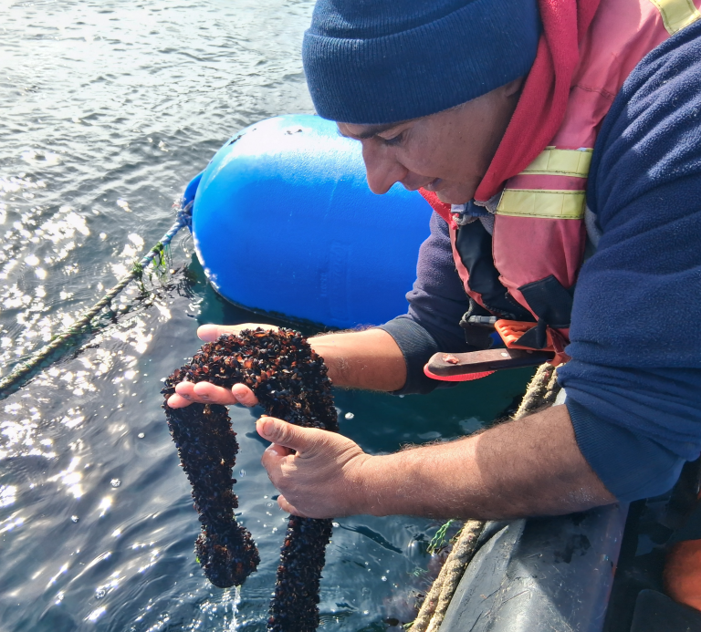 Primer lugar Sello Colaboración, Fotografía Desde el origen, Natalia Santana, Centro de cultivo, Chiloé.