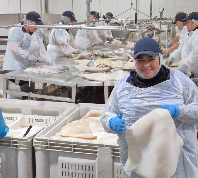 Primer lugar Sello Excelencia, Fotografía Proceso de la jibia Sello Excelencia Mónica Rodríguez, Planta Congelados Talcahuano